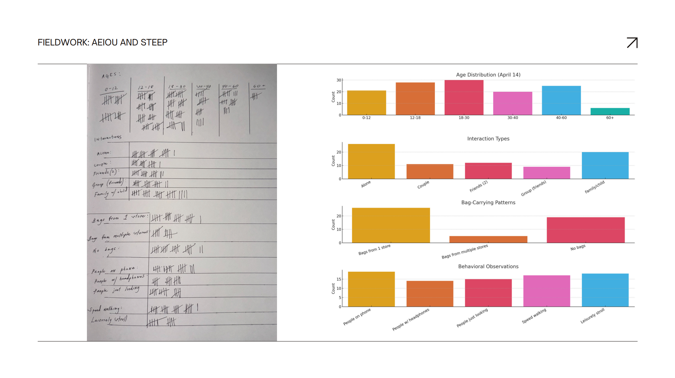 Community research — fieldwork data